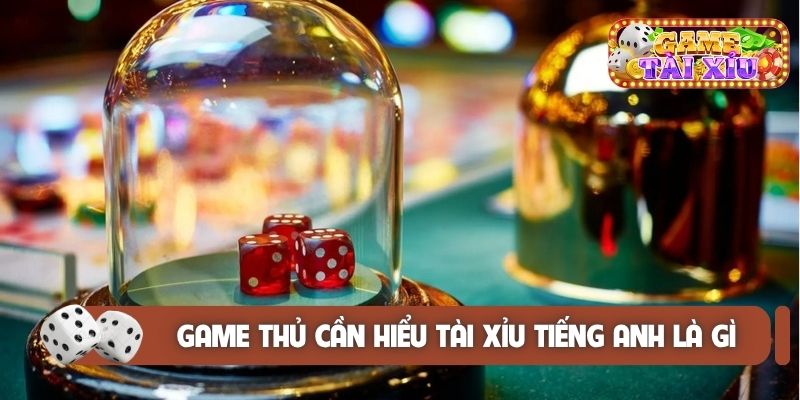 Game thủ cần hiểu khái niệm tài xỉu tiếng Anh là gì